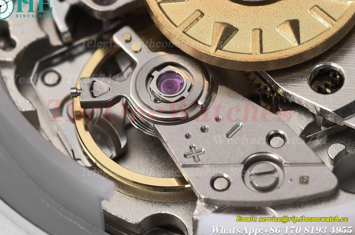 RU 41mm 4500V Brown Overseas MY8215 SS Dial GDF 0329